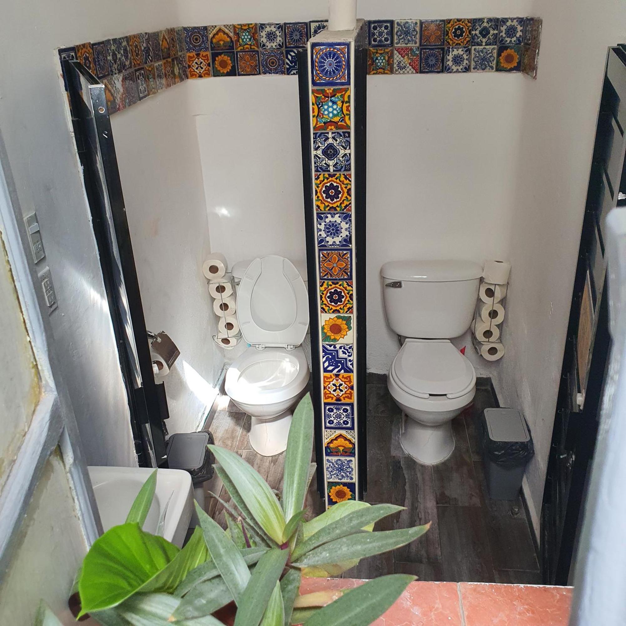 Sukha Hostel San Luis San Luis Potosí Kültér fotó